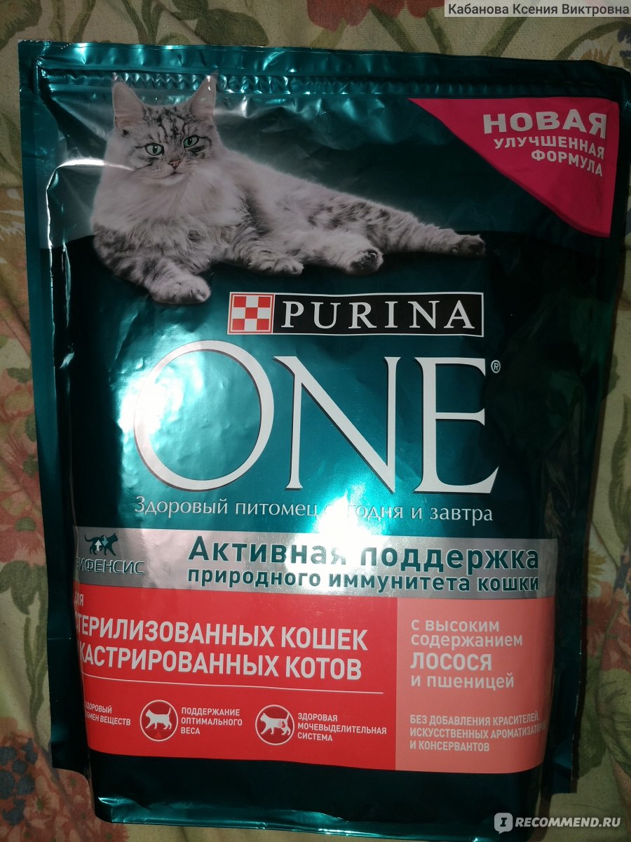 Обзор корма для кошек purina one