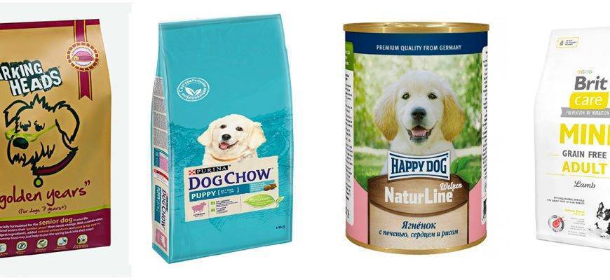 Как выбрать корм для собаки мелкой породы