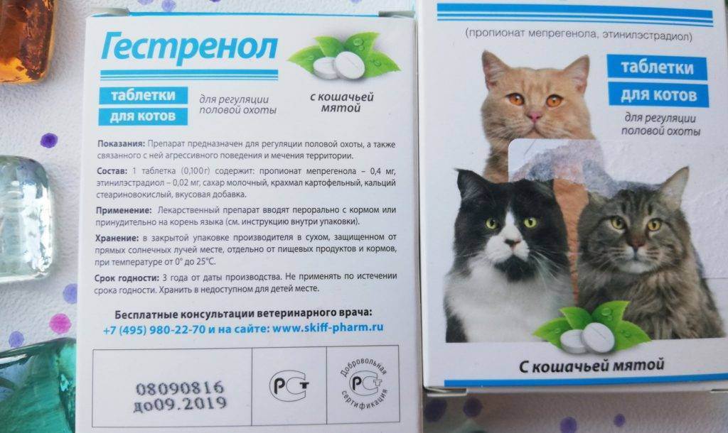 Гестренол - капли для кошек и котов: основные свойства и отзывы ветеринаров