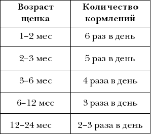 Как и чем кормить щенка дворняжки: меню по возрастам | звери дома