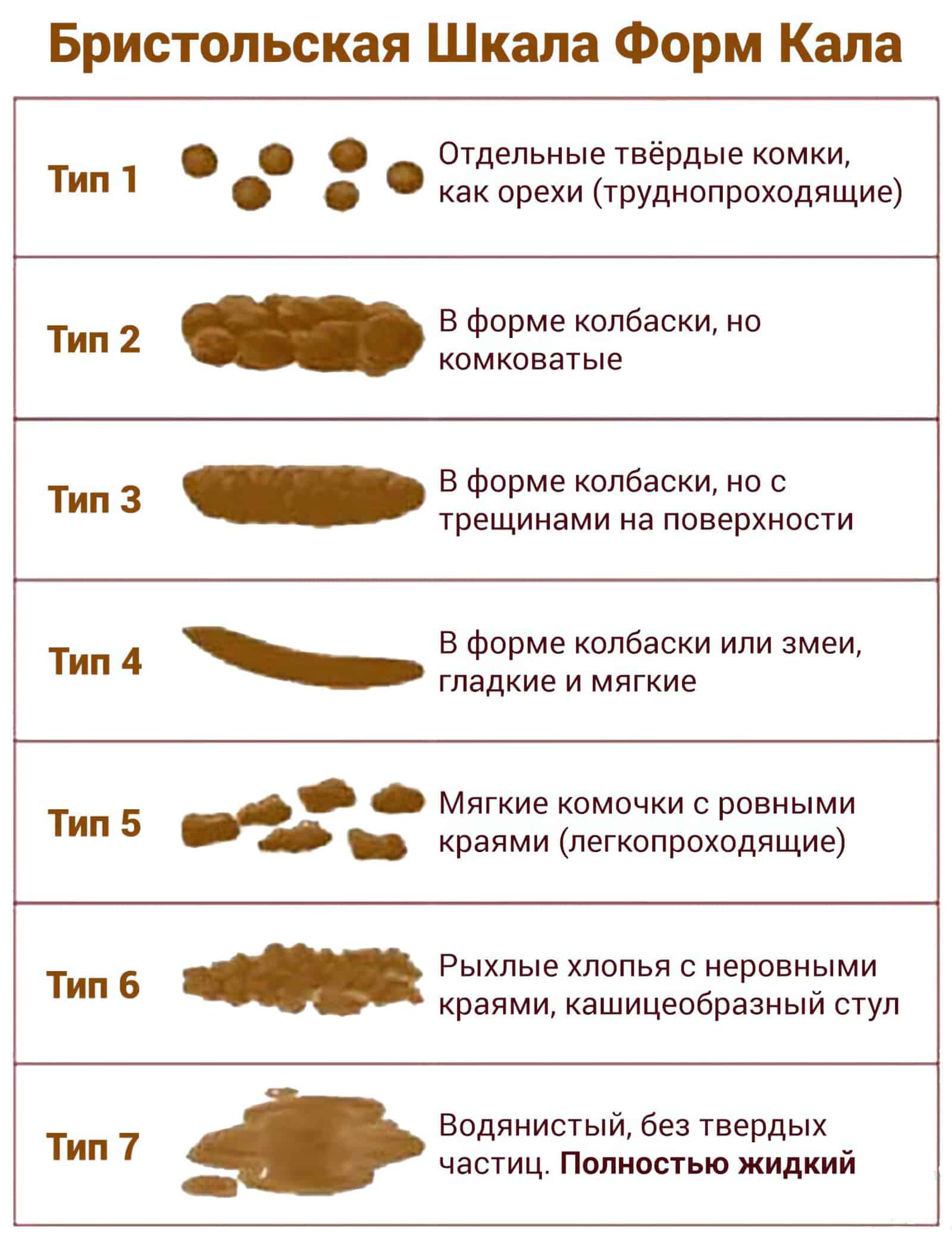 Понос у котенка - что делать и как лечить диарею у котенка в домашних условиях