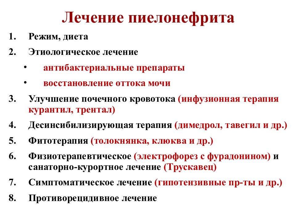 Болезни почек у кошек и котов: причины, симптомы, лечение
болезни почек у кошек и котов: причины, симптомы, лечение