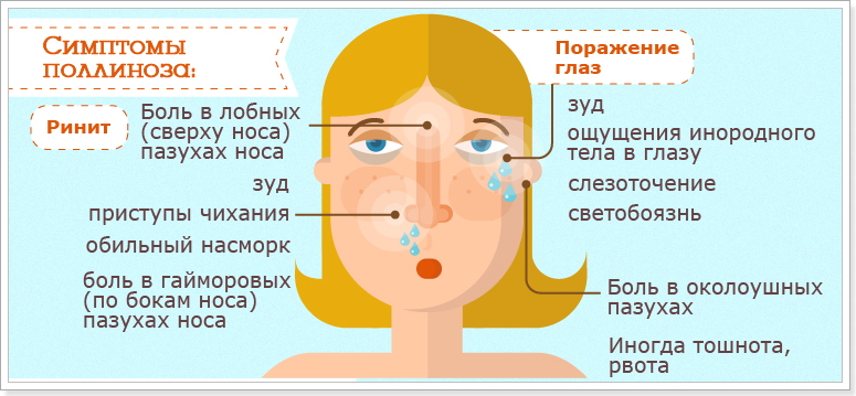 Как лечить вазомоторный ринит: хроническая и аллергическая формы, препараты, капли