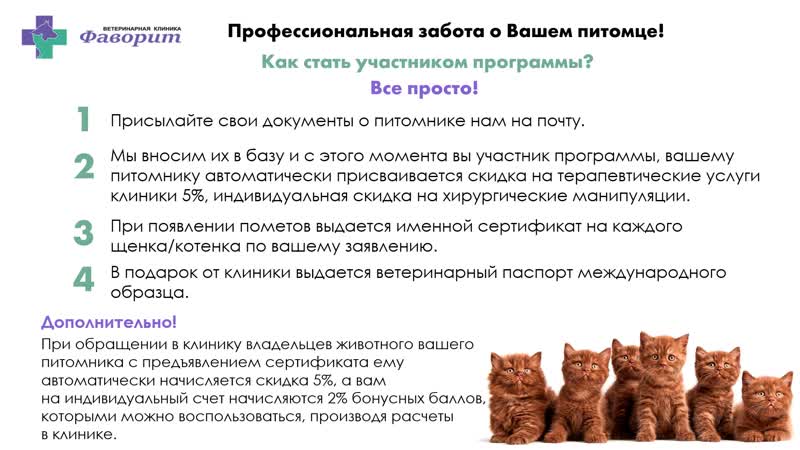 Организация защиты кошек приветствует тех заводчиков, которые регистрируются