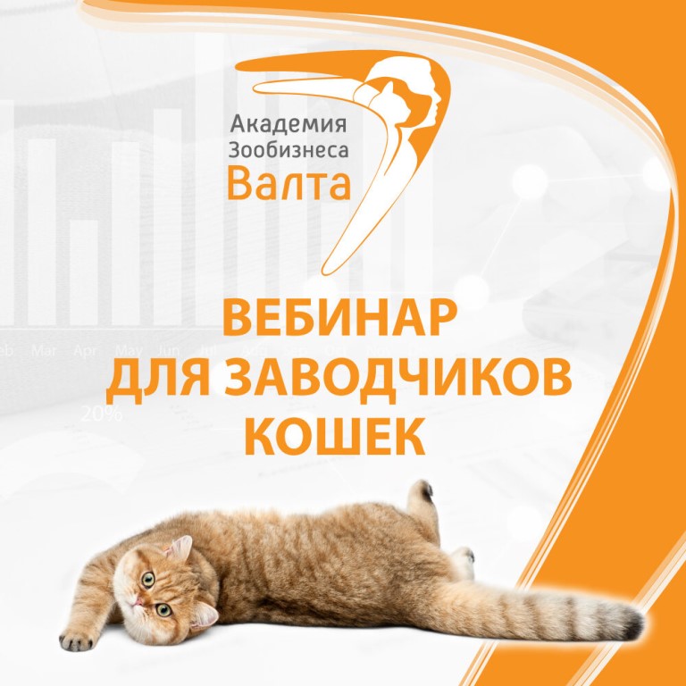 Заполнение ветеринарного паспорта для кошек