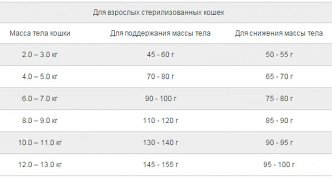 Сколько сухого корма давать кошке в день? сколько грамм корма нужно кошке? норма кормления, расчет суточной порции