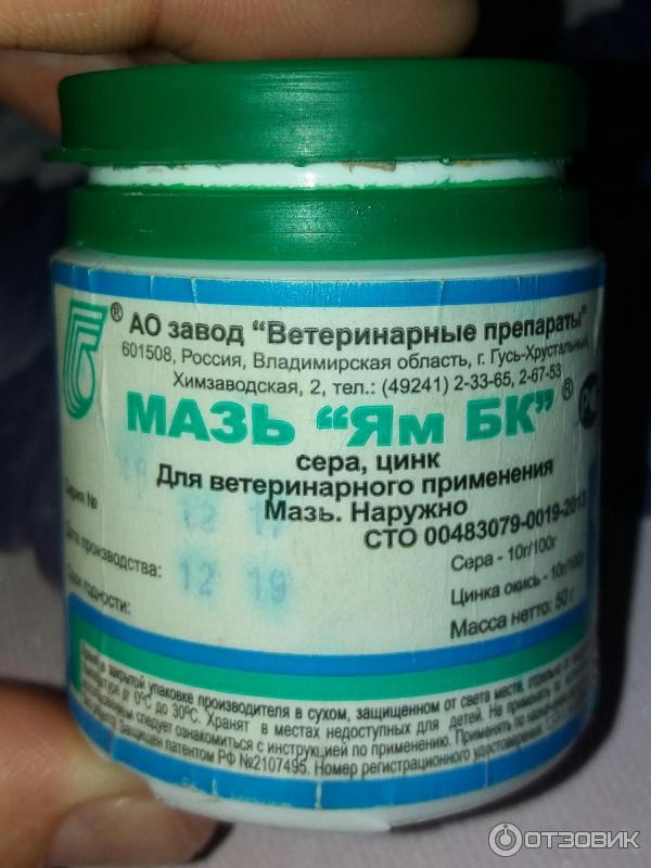 Мазь ям бк для кошек от лишая и других кожных заболеваний: инструкция по применению, отзывы, аналоги препарата