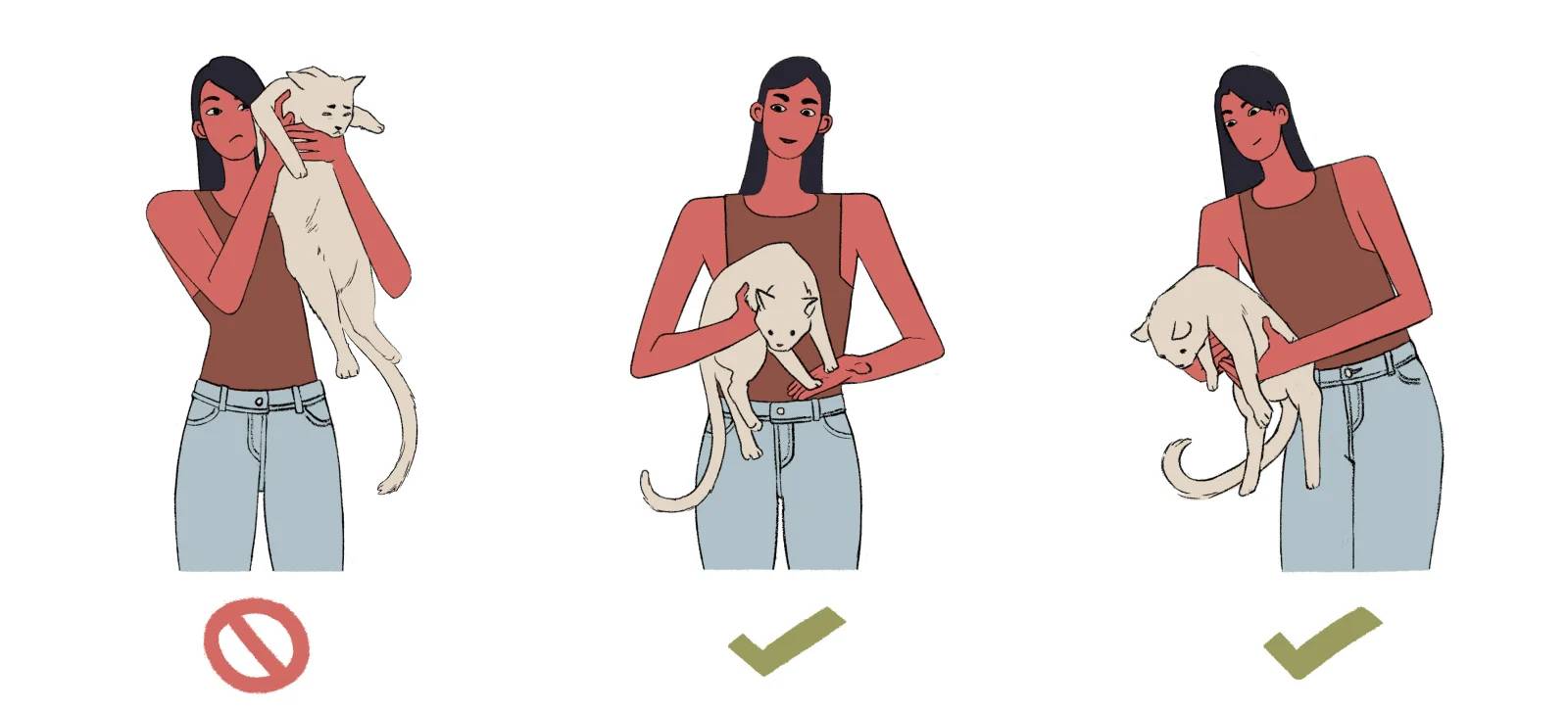 Как приручить кошку и приучить дикого котенка к рукам и ласке