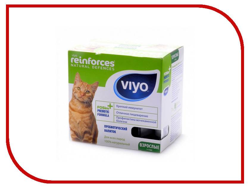 Пребиотик viyo: быстрое восстановление микрофлоры жкт у кошки