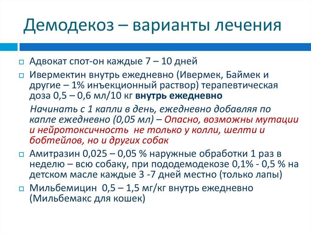 Лечение демодекоза век препараты схема лечения