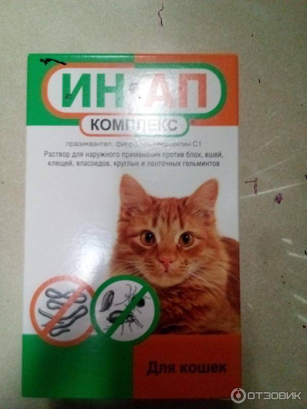 Ин ап сайт. Лекарство для кошек комплекс. Препараты от эндопаразитов для кошек. Препарат от Экто и эндопаразитов для котят. Котам от блох ин ап лекарство.