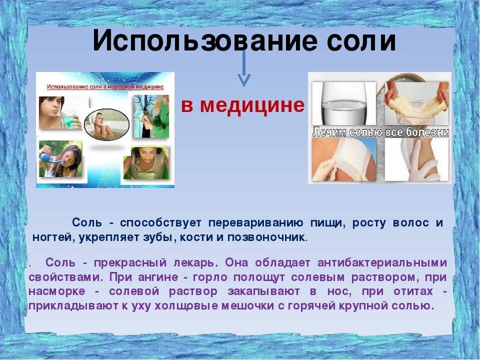 Содержание морской свинки: 7 плюсов и 7 минусов