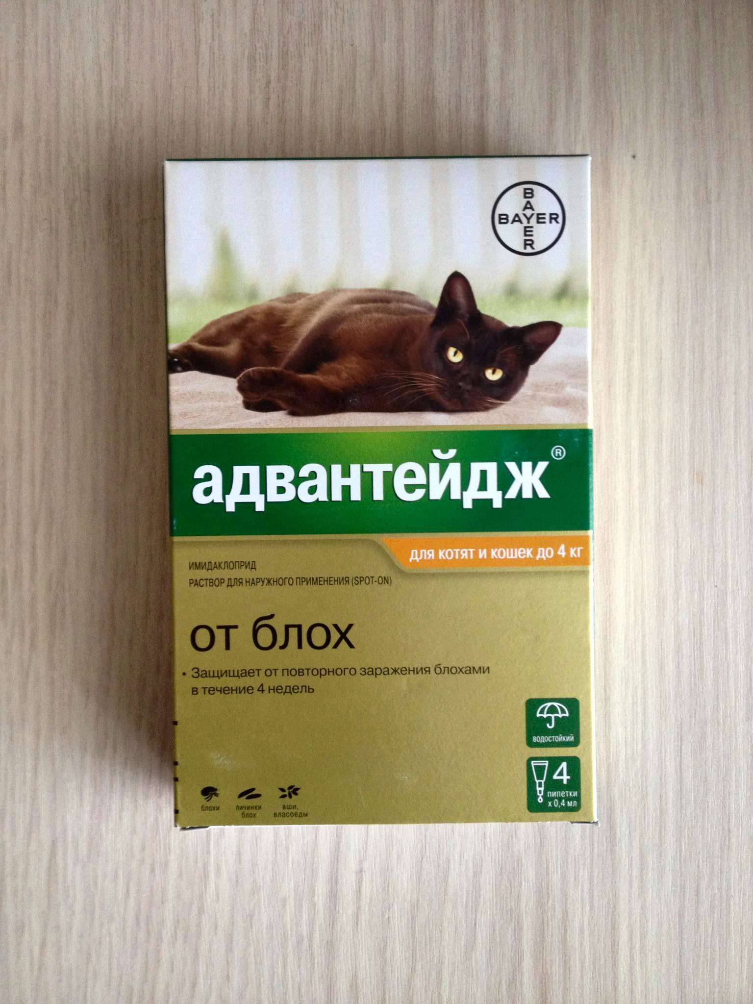 Адвантейдж для кошек: инструкция по применению, отзывы, аналоги