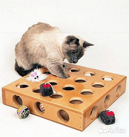 Игрушки для кошек — обзор популярных, критерии выбора