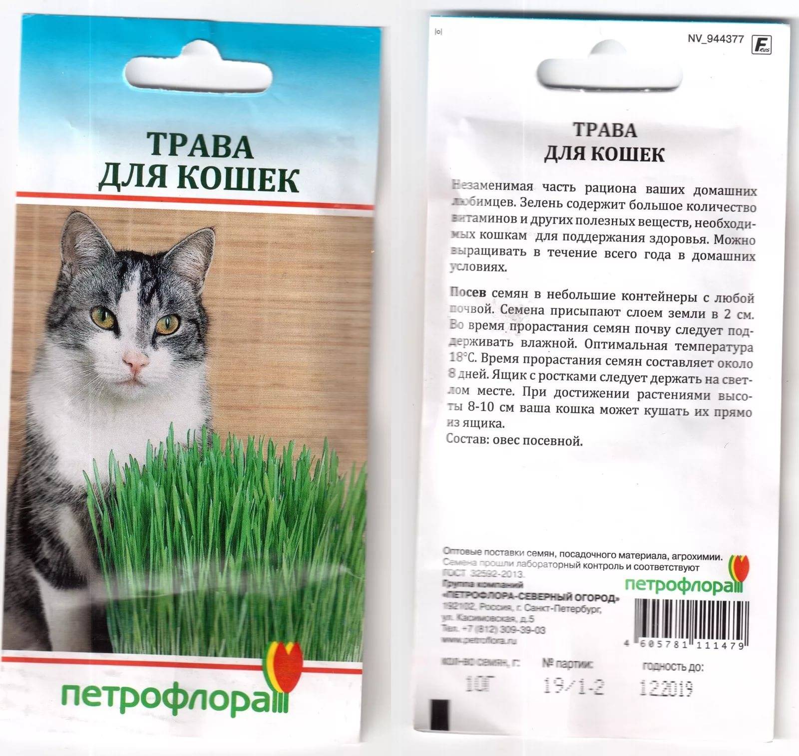 Можно ли кошкам давать траву