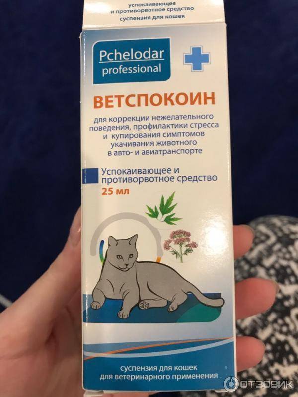 Лучшие снотворные и успокоительные средства для кошек на 2023 год