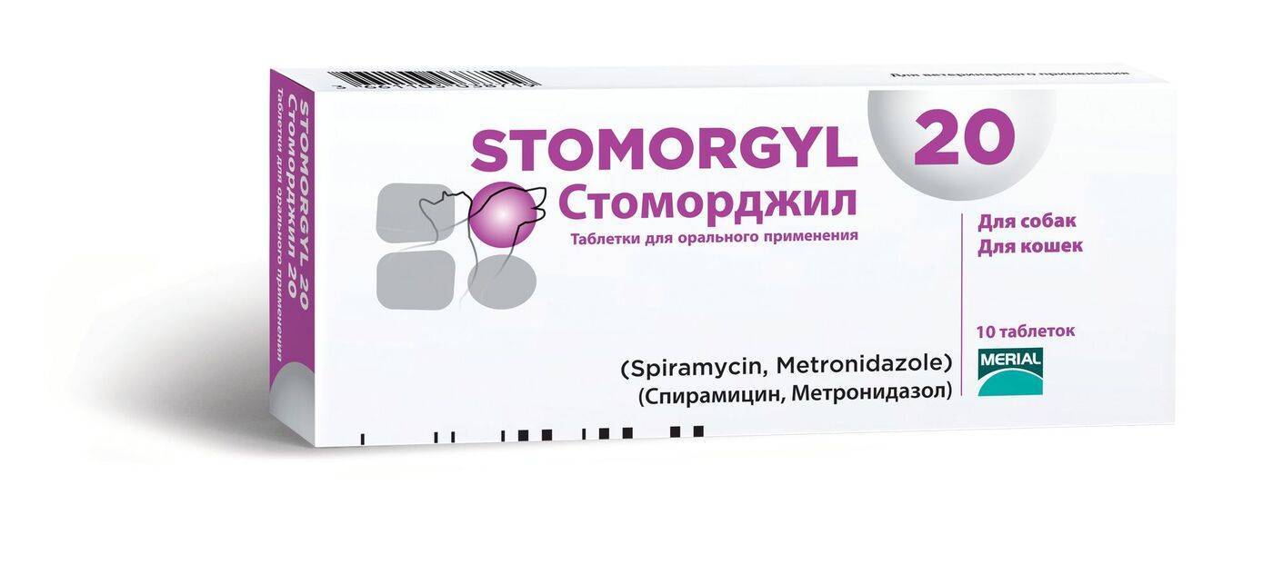 Стоморджил для кошек: эффективное средство для лечения инфекционных заболеваний у животного - все о породах кошек с описанием, фотографиями и названиями.все о породах кошек с описанием, фотографиями и названиями.