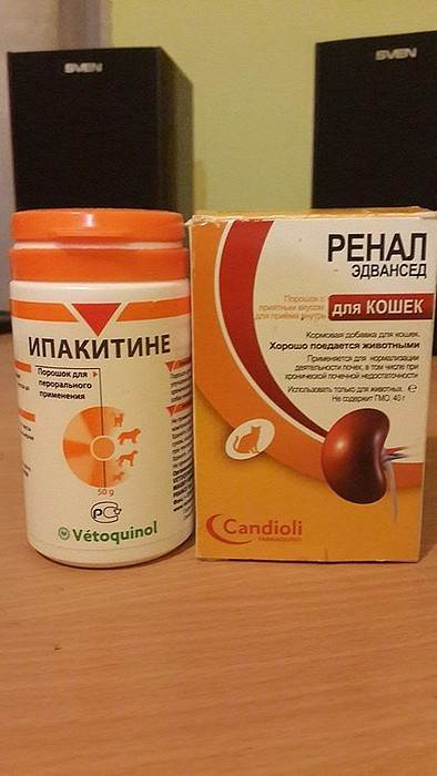 Ренал порошок для кошек: обзор, инструкция по применению, отзывы владельцев