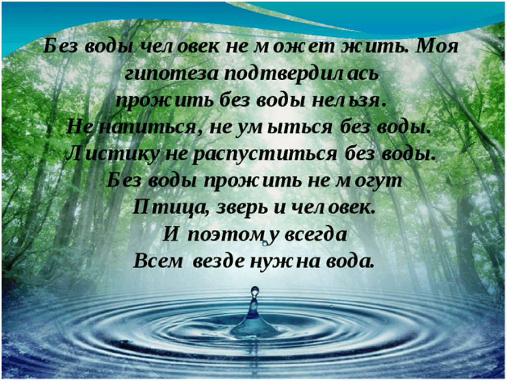 Вода для шиншиллы: сколько должна пить шиншилла, возможные причины отказа от воды - люблю хомяков