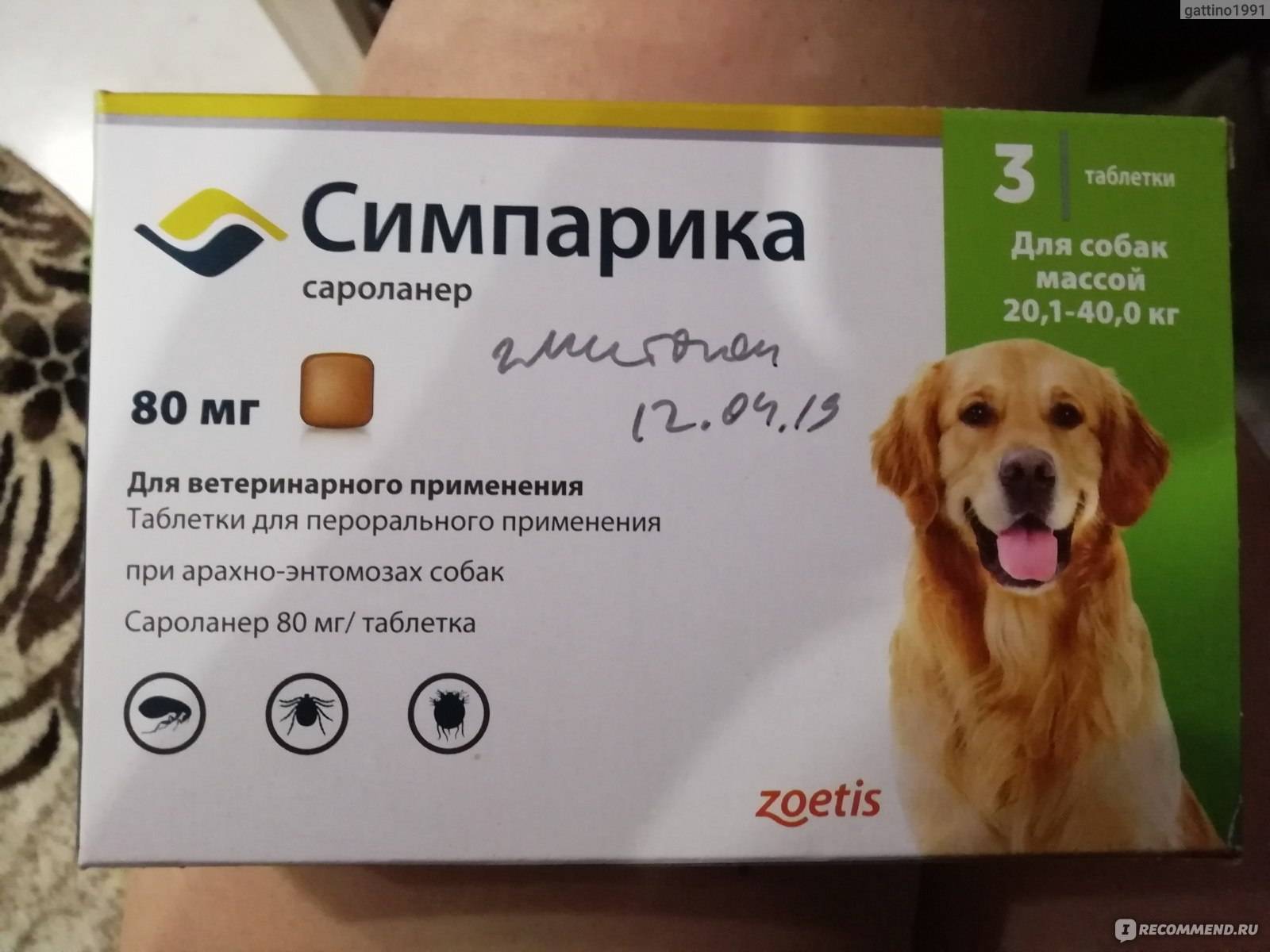 Практик от клещей для собак — описание, эффективность, правила применения