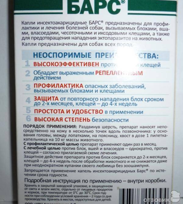 Капли на холку барс — комплексная защита кошки от эктопаразитов