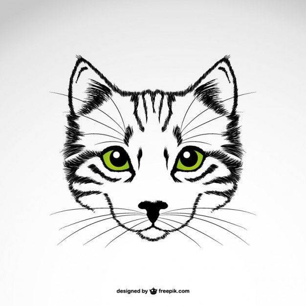 Как нарисовать кота | рисунок кота поэтапно карандашом