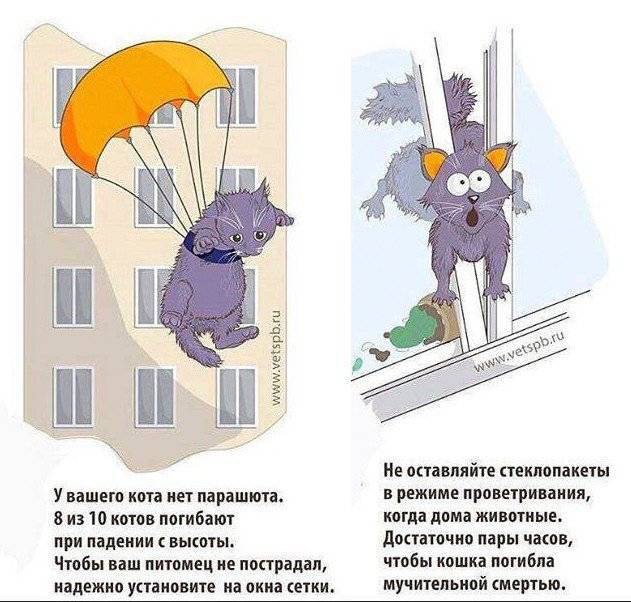 Какими травмами грозит кошке или коту падение с высоты?