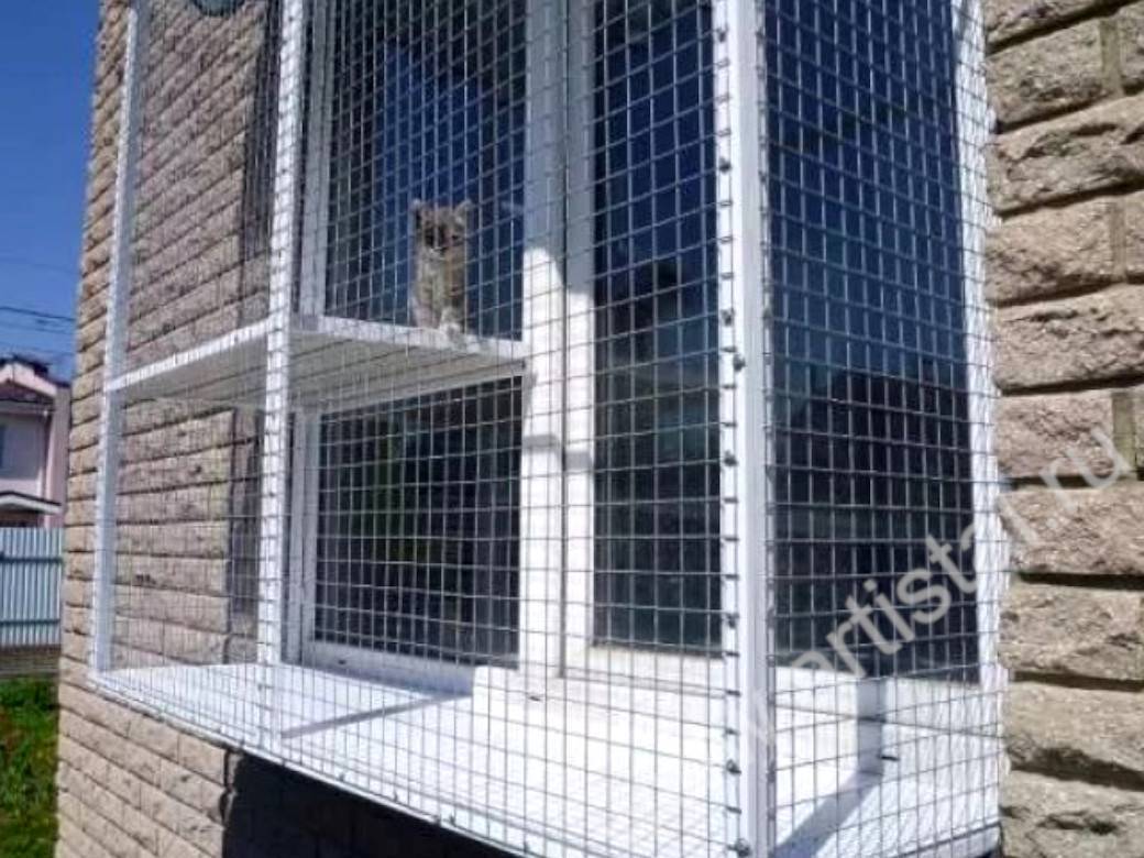 Сетка на окно для кошек для защиты: как выбрать