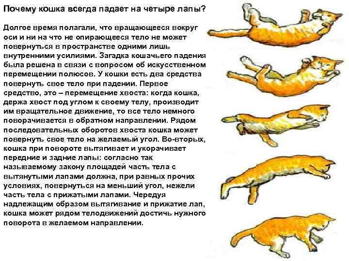 Полинейропатия