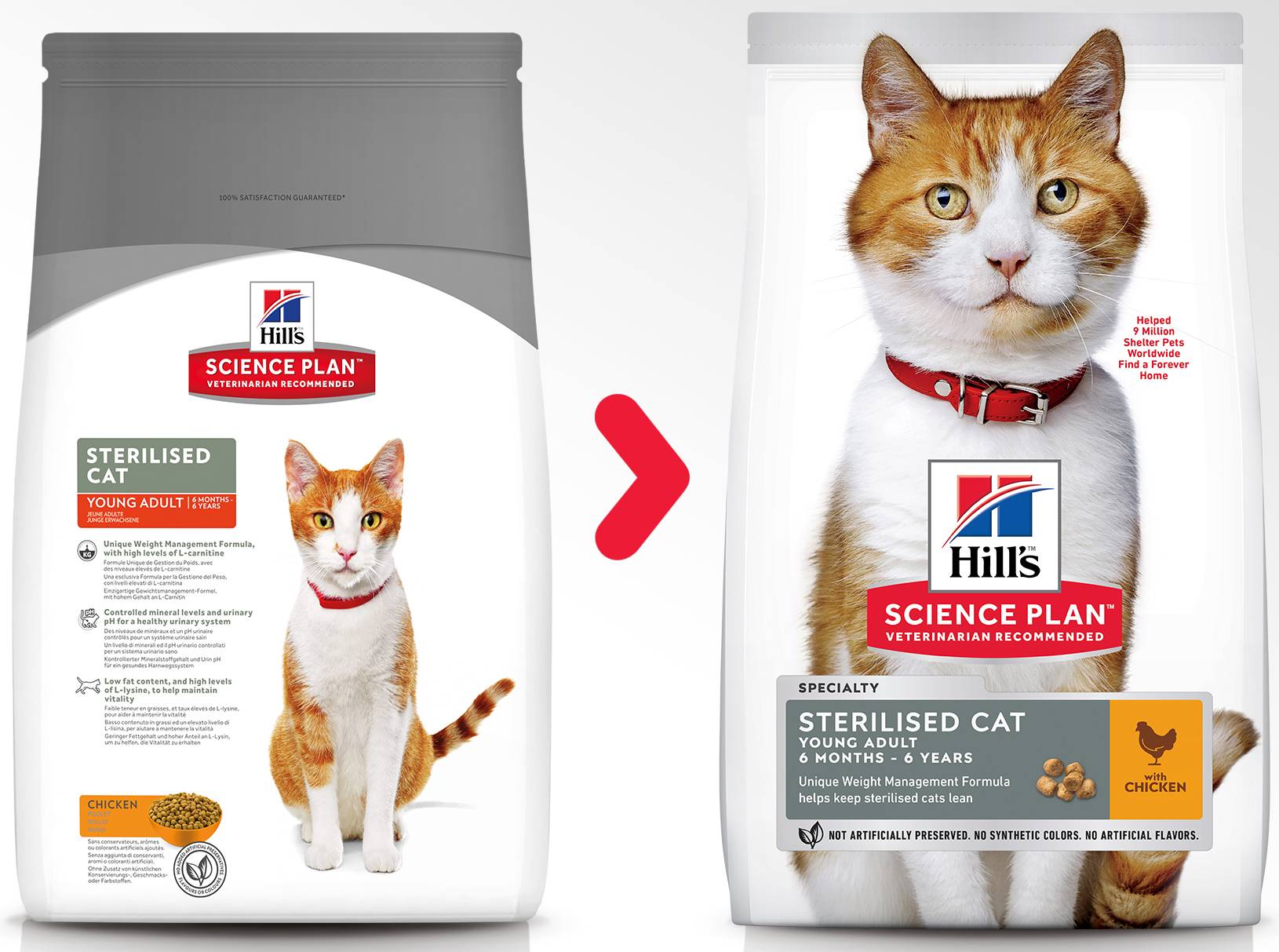 Обзор кормов бренда хиллс для кошек