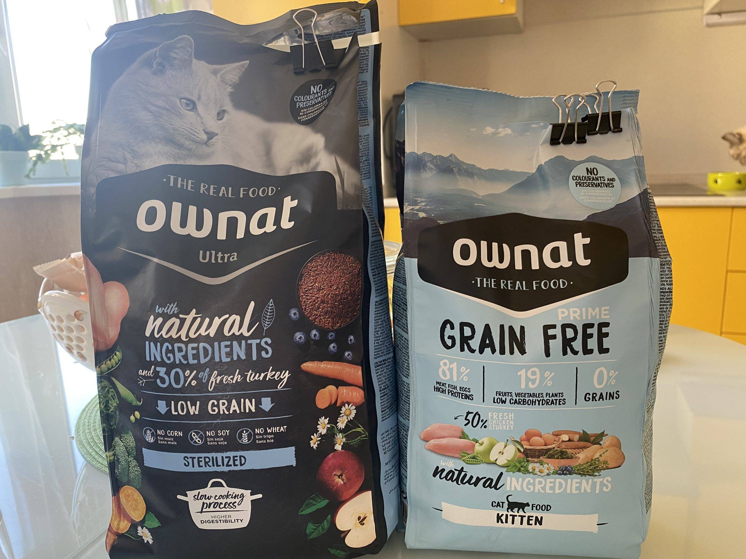 Какой корм для кошки лучше — обзор лучших сухих, влажных, натуральных кормов по цене и качеству по мнению экспертов