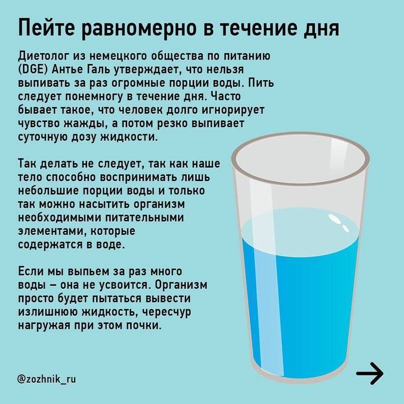 Почему кот пьет много воды: причины и норма — pet-mir.ru
