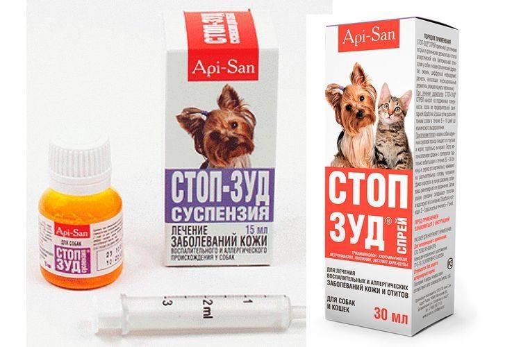 Стоп-зуд — помощь при лечении дерматитов у кошек