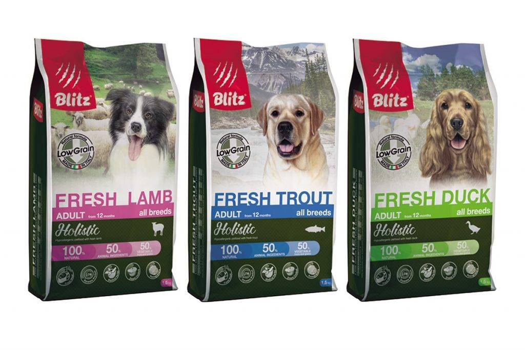 Blitz (блитз): обзор корма для кошек, состав, отзывы, плюсы и минусы