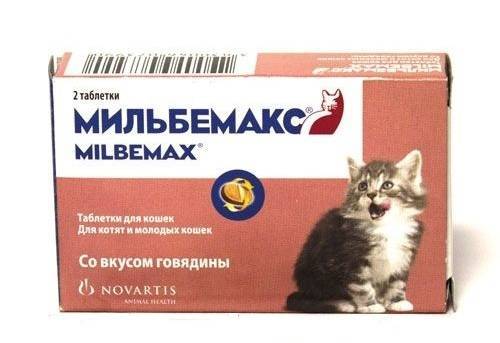 Мильбемакс для лечения и профилактики глистов у кошек