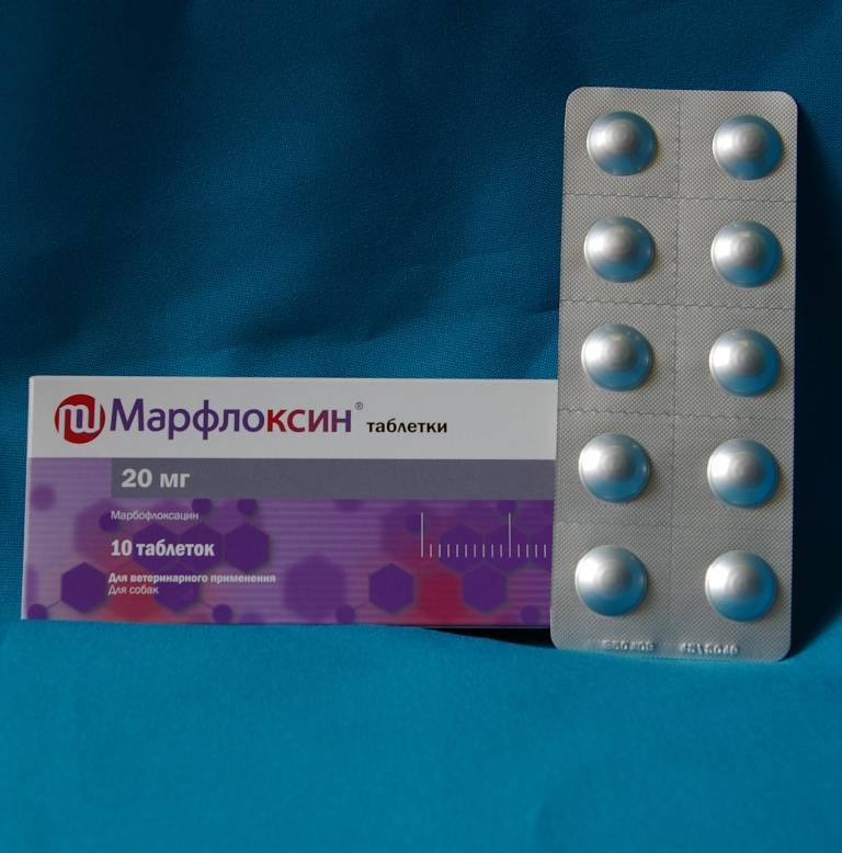 Марфлоксин 10% раствор для инъекций