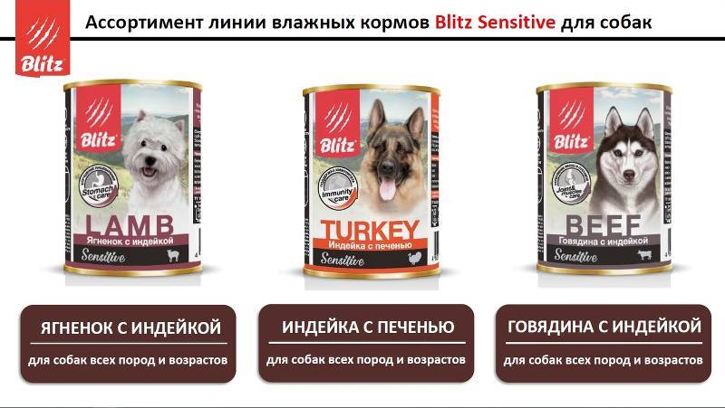 Обзор сухих кормов для собак блиц