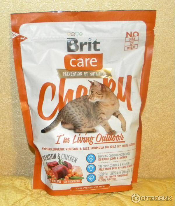 Гипоаллергенные корма для кошек: обзор продукции популярных производителей