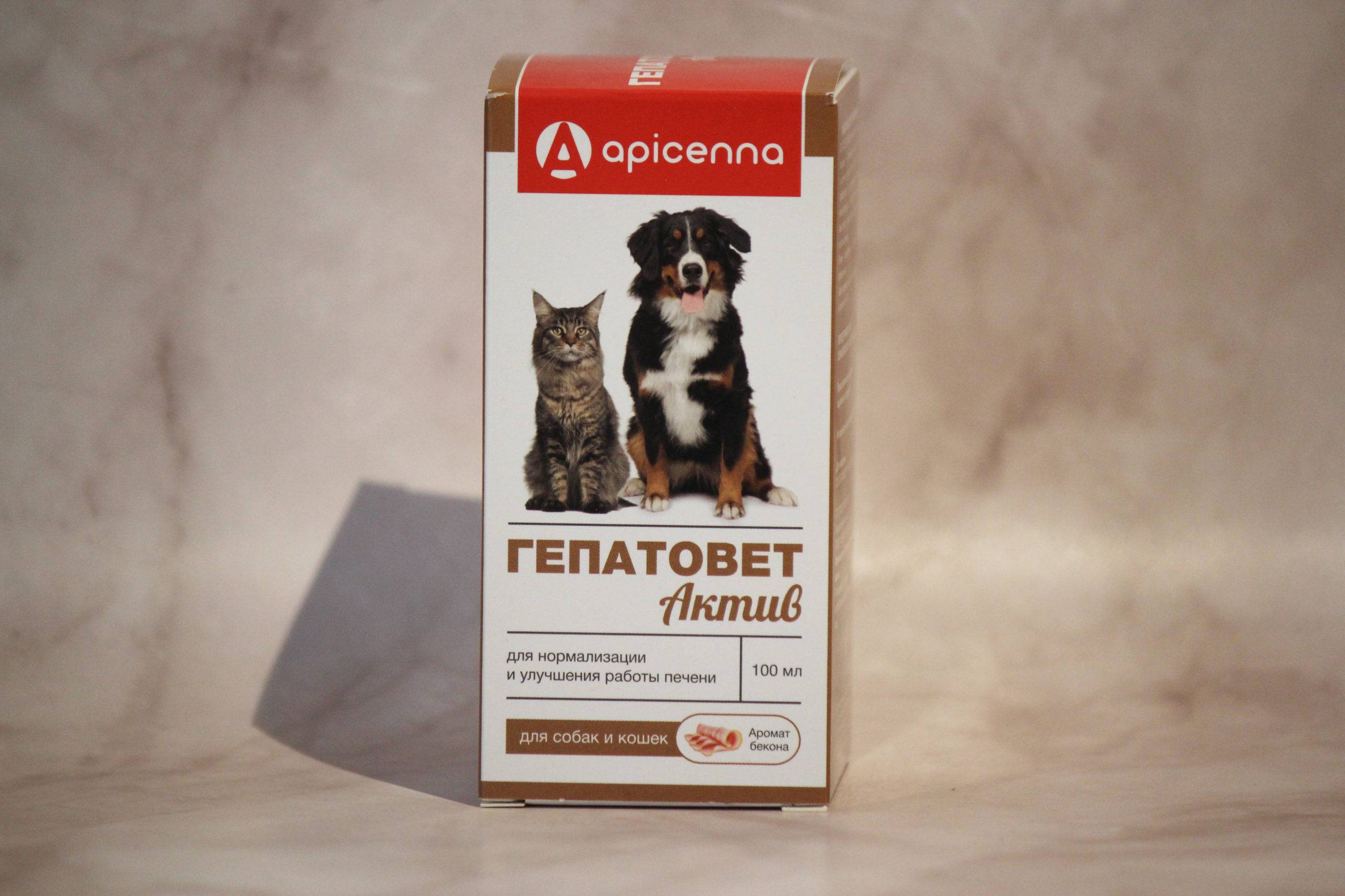 Инструкция по применению препарата «гепатовет» для лечения заболеваний печени у кошек, состав и аналоги гепатопротектора