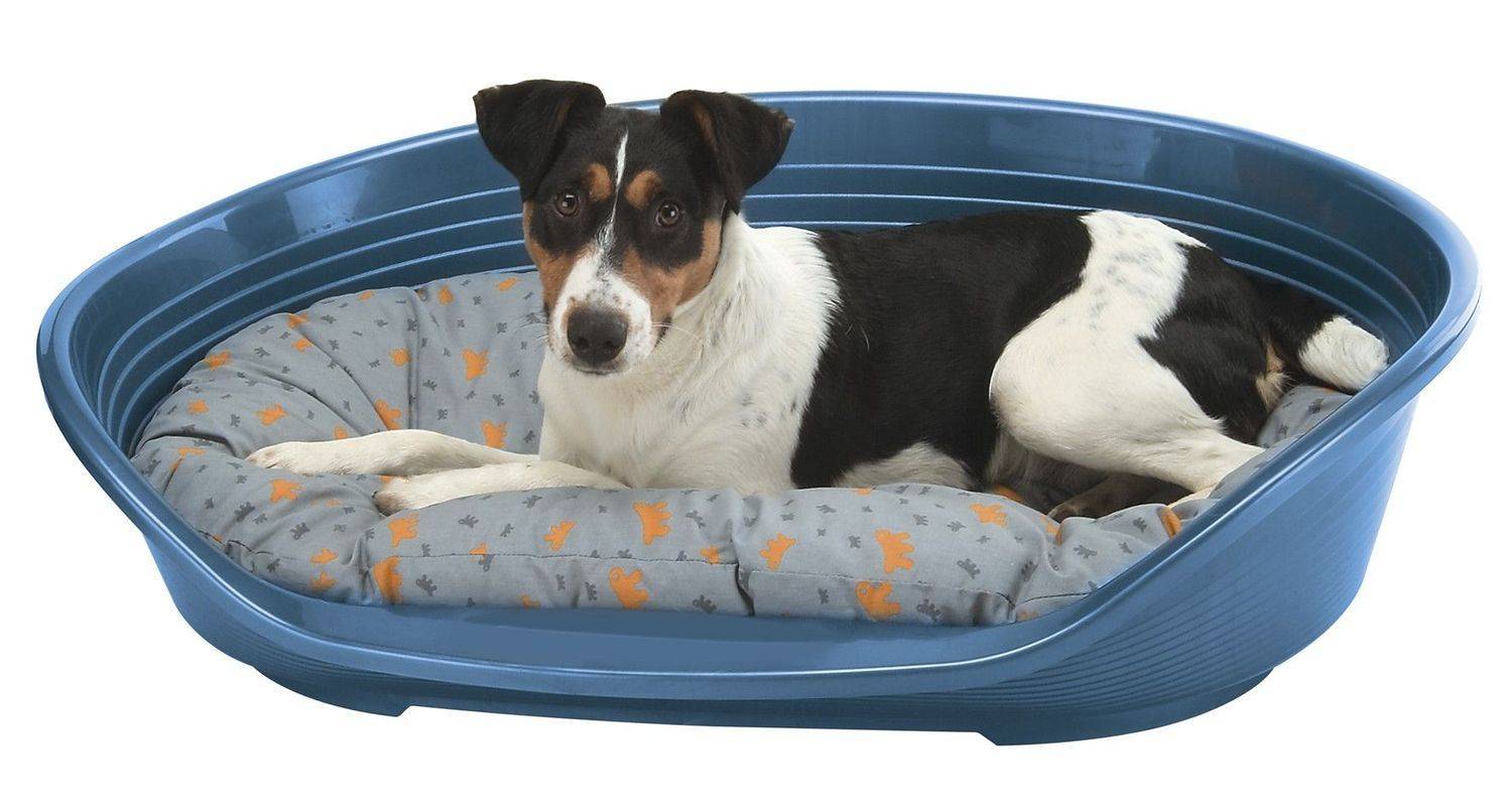 Лежанка для собаки: как выбрать комфортное место питомцу?