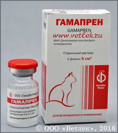 Таблетки «гликопин» для кошек: отзывы, инструкция по применению