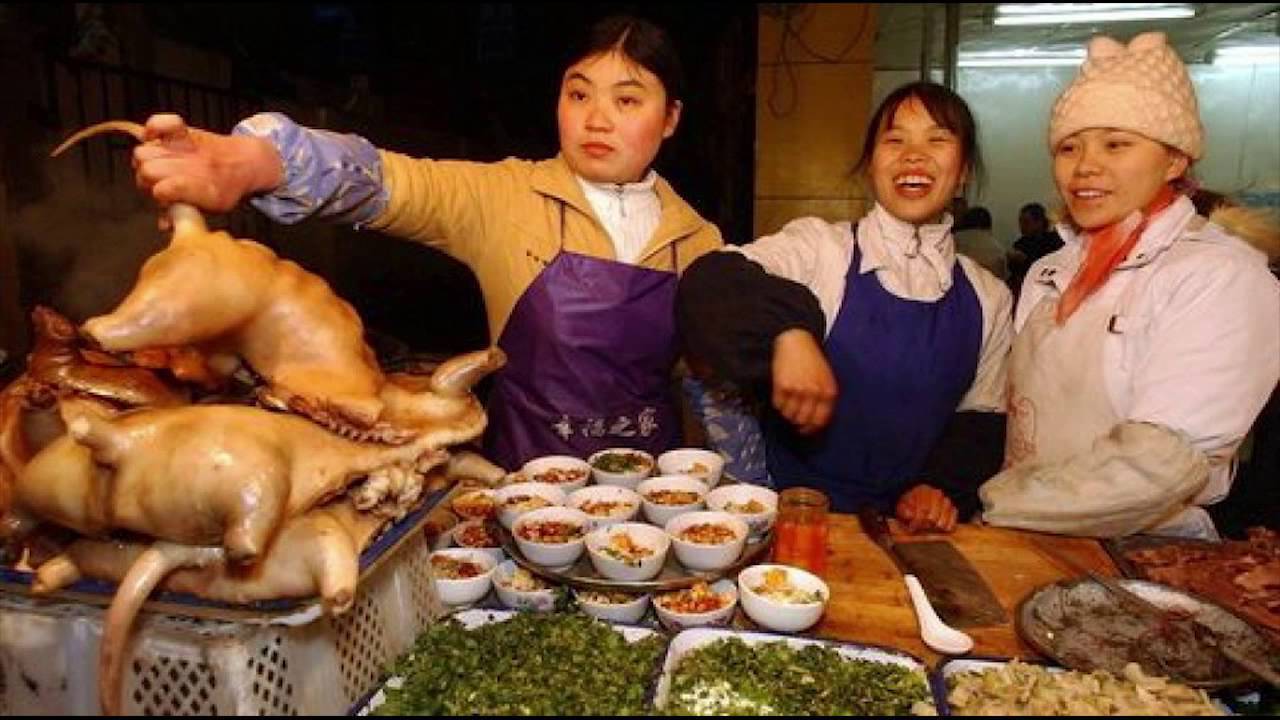 Эффект говорящей собаки: можно ли выучить китайский и не сойти с ума?