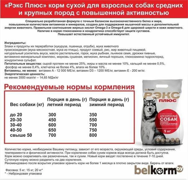 Суточная норма сухого корма и консервов для собак