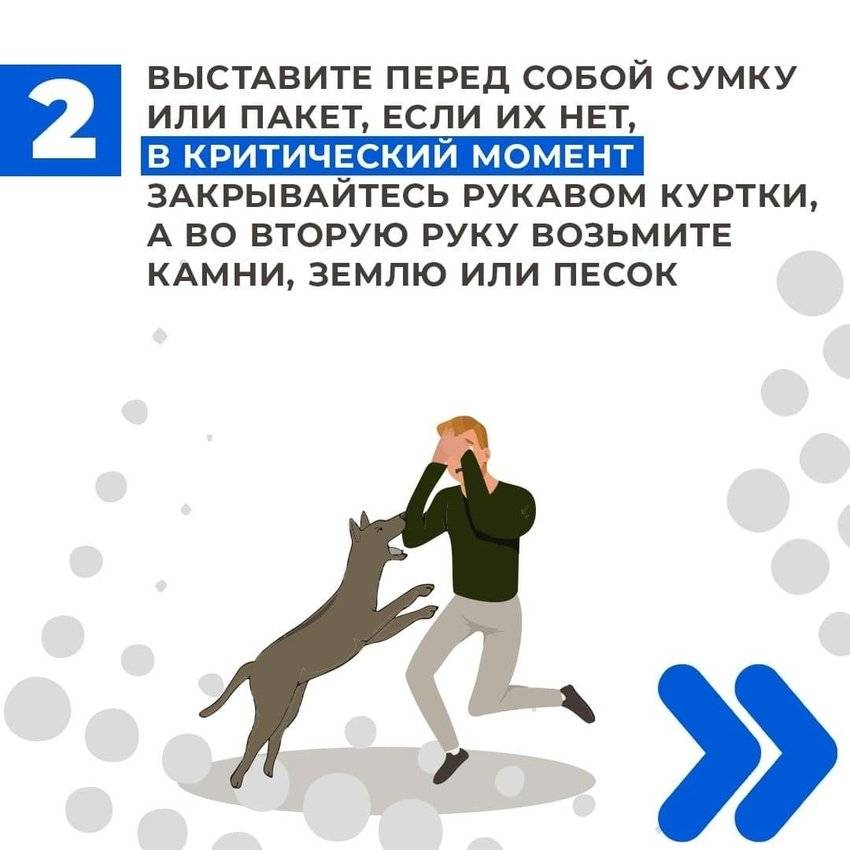 Что необходимо сделать при нападении собак на человека и как себя вести