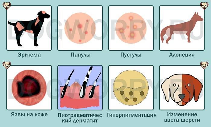 Полинейропатия ️: симптомы, признаки и причины, диагностика и лечение