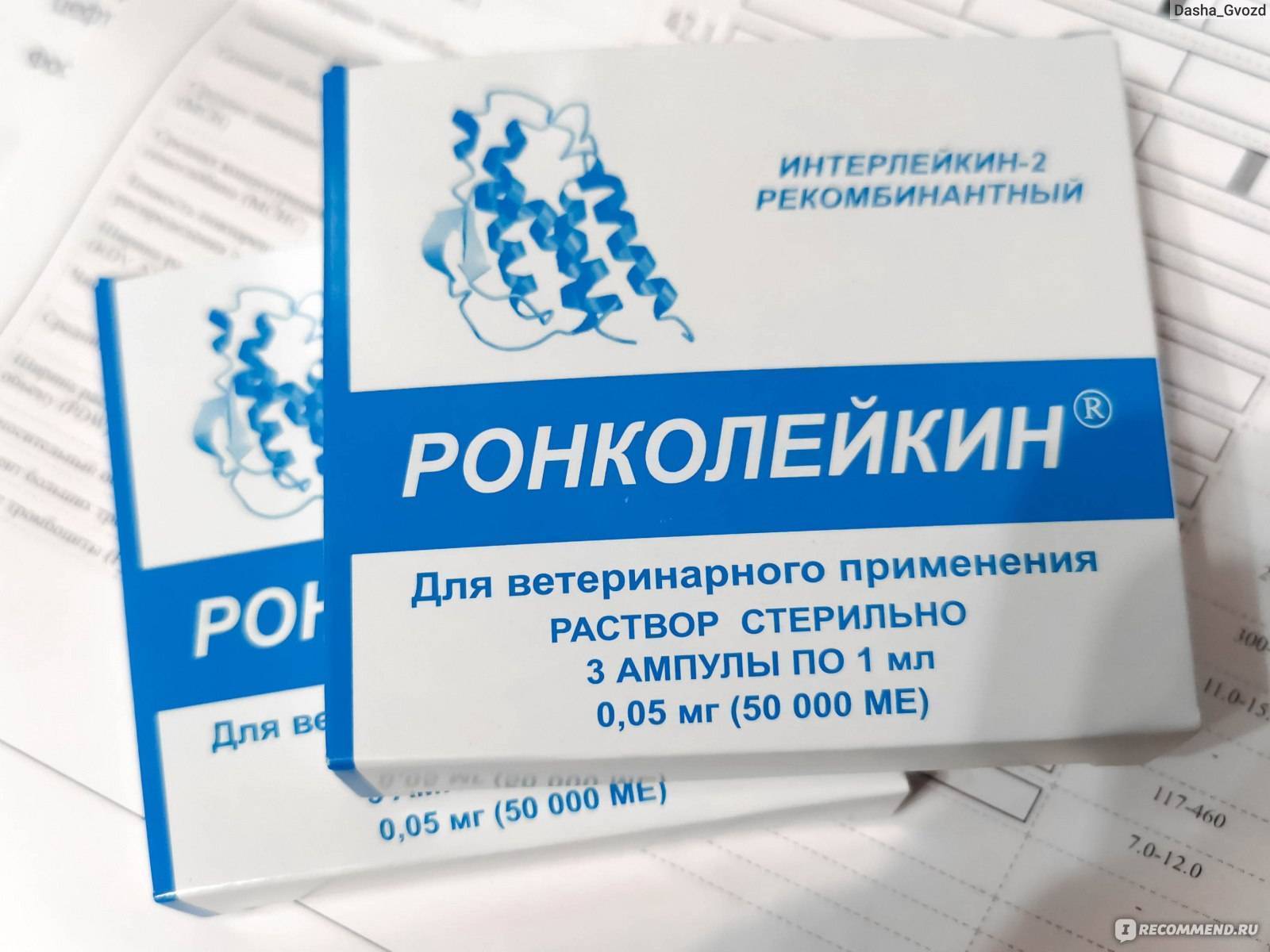 Ронколейкин для собак: инструкция по применению и дозировка, показания к использованию, отзывы