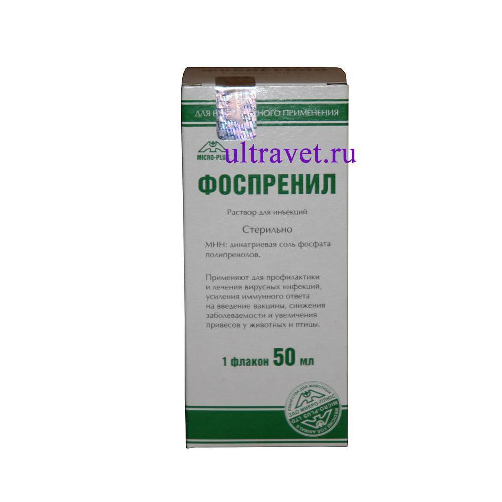 Фоспренил: инструкция по применению для кошек, отзывы, аналоги