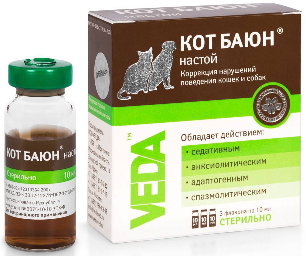 Успокоительное для кошек в домашних условиях: список лучших +названия