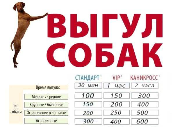 Сколько стоит выгул собаки за 1 час