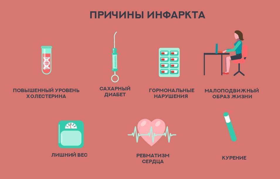 Инфаркт у кошек: симптомы и лечение, профилактика и причины появления